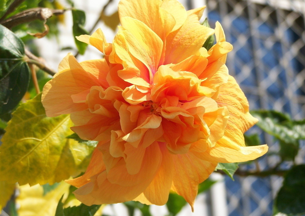 787579_093447745103_2_meitu_3.jpg