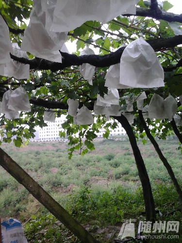 20160630_184751.jpg