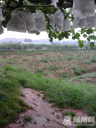 20160630_184758.jpg