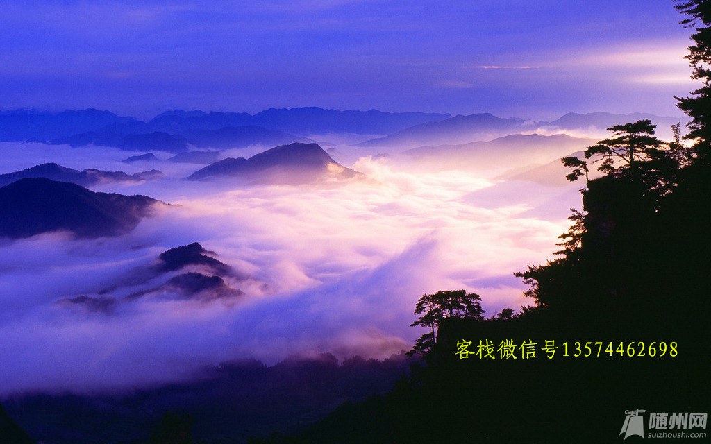 5_副本 微信号.jpg