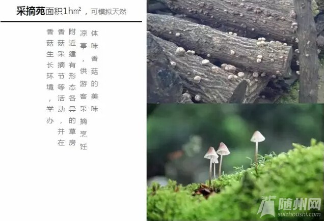QQͼ20160708084527.jpg