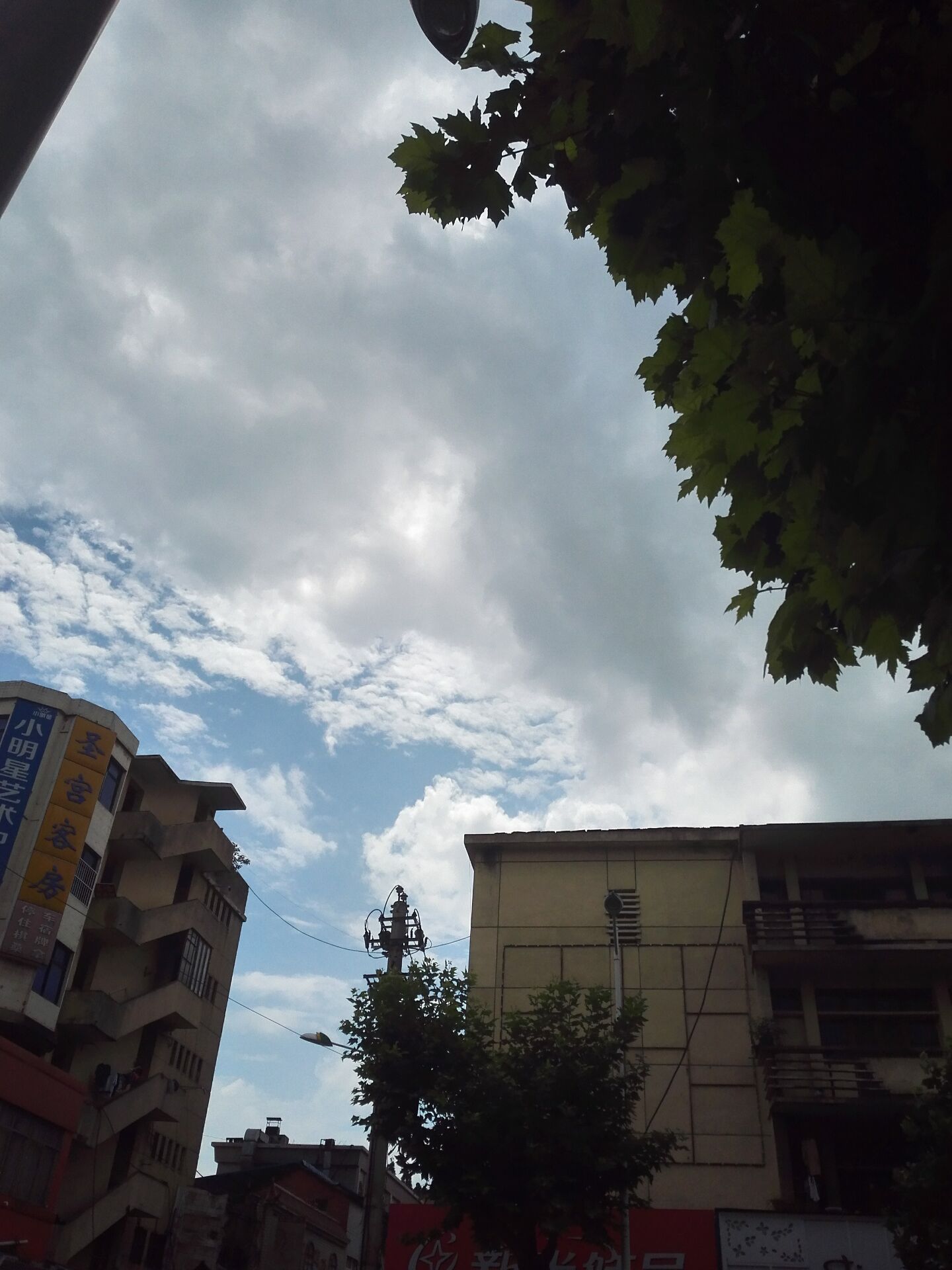 265CCC234CE42A7D4B605EA91EE5338A.jpg