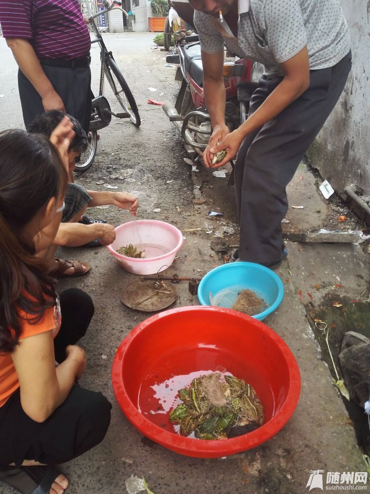 094738it5cp658c0t5k5h2.jpg.thumb.jpg