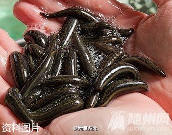 7a273328jw1f5t5tnnrykj209r07omy7.jpg