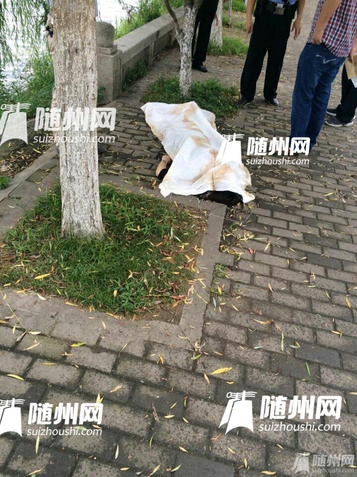 QQͼƬ20160715085659_.jpg