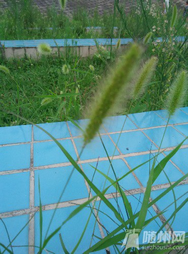IMG_20160718_131409.jpg