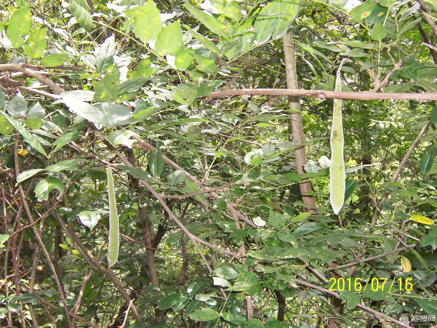 100_4744.JPG