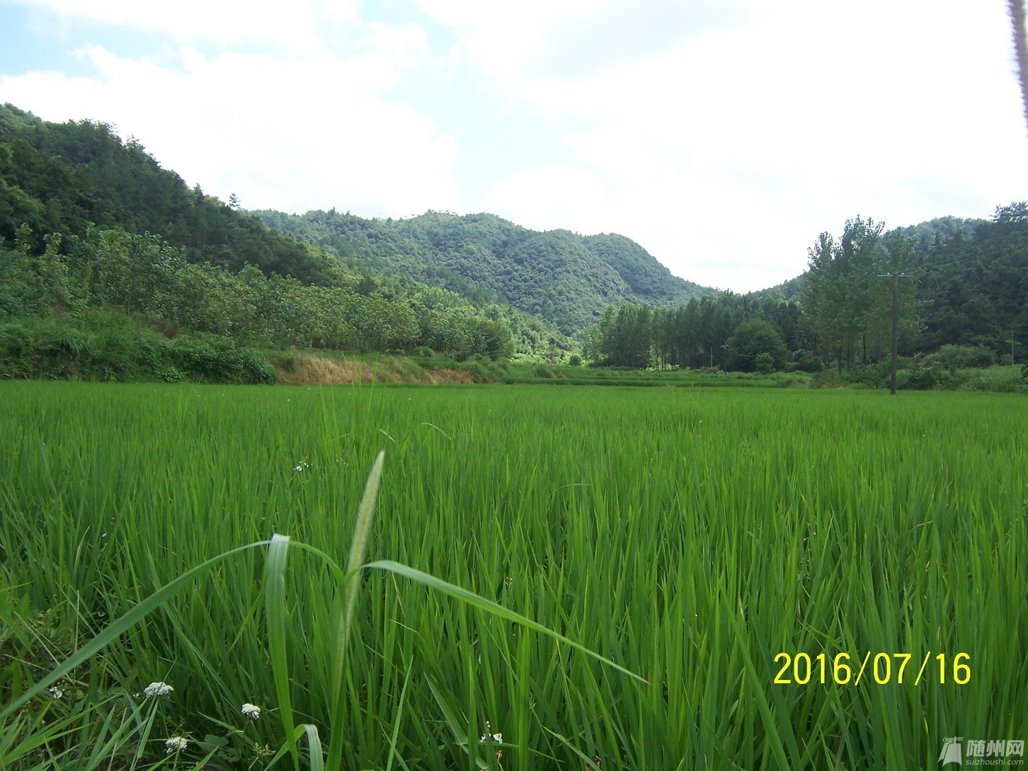 100_4760.JPG