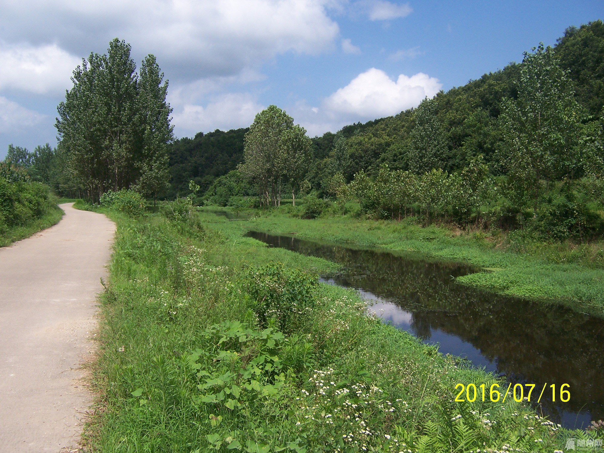 100_4771.JPG
