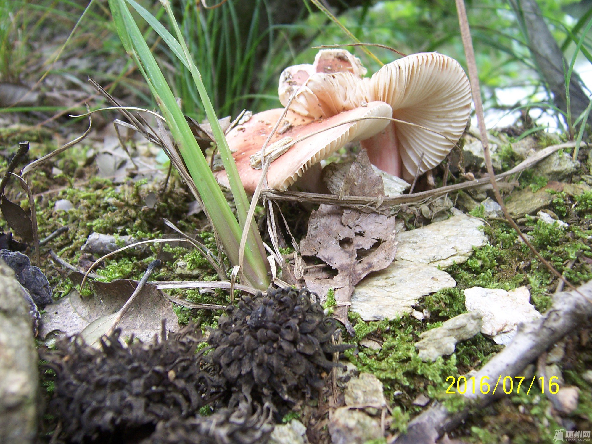 100_4730.JPG