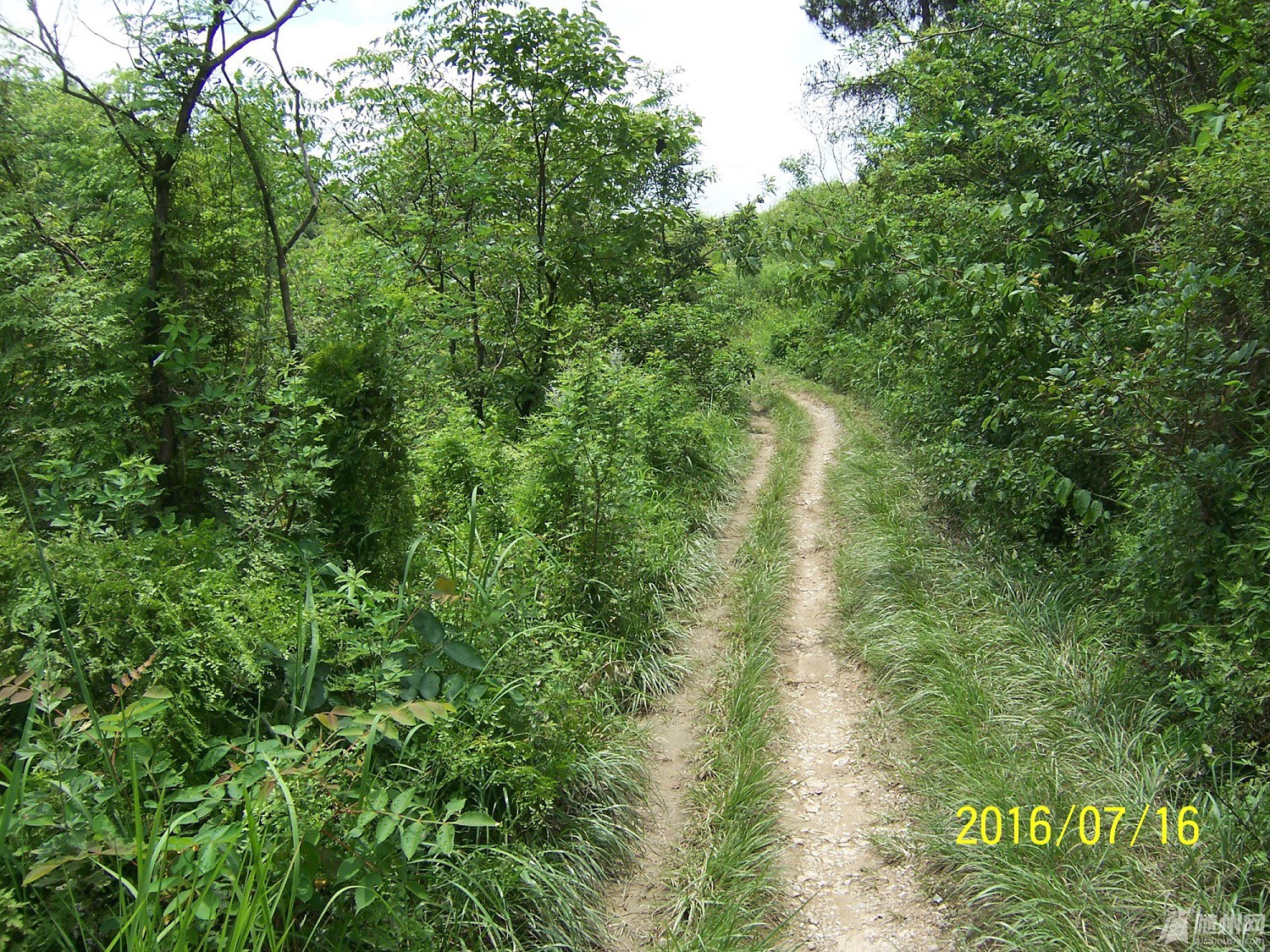 100_4725.JPG