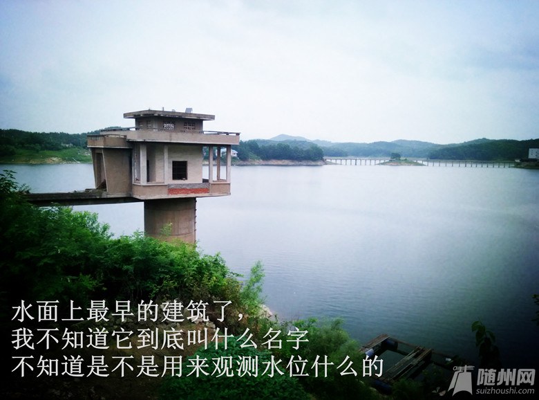 IMG_20160718_125849.jpg