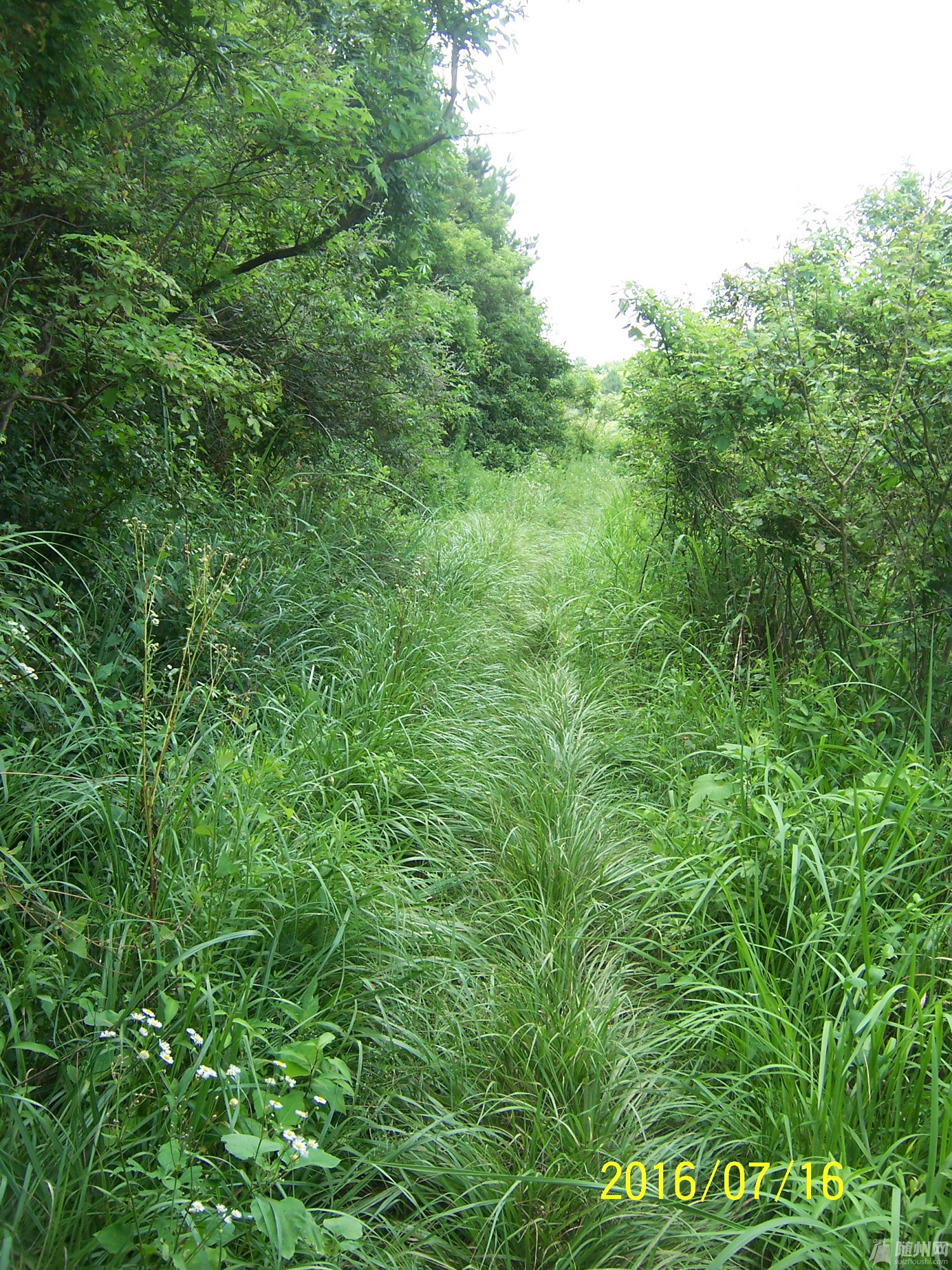 100_4727.JPG