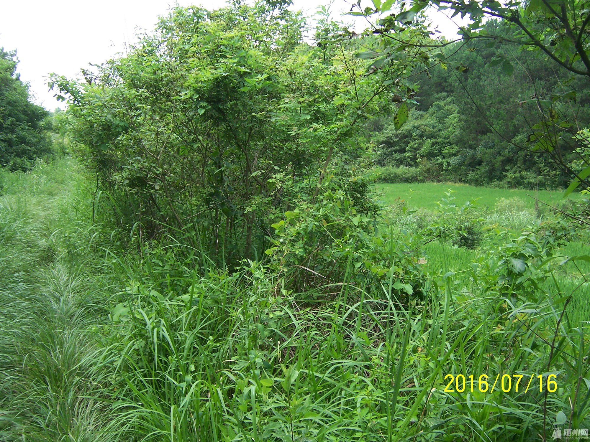 100_4728.JPG
