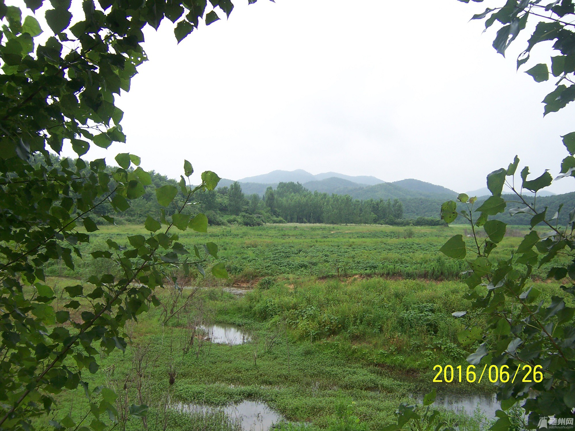 100_4704.JPG