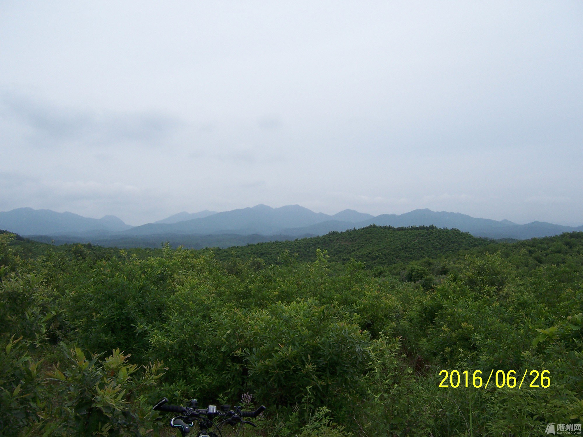 100_4698.JPG