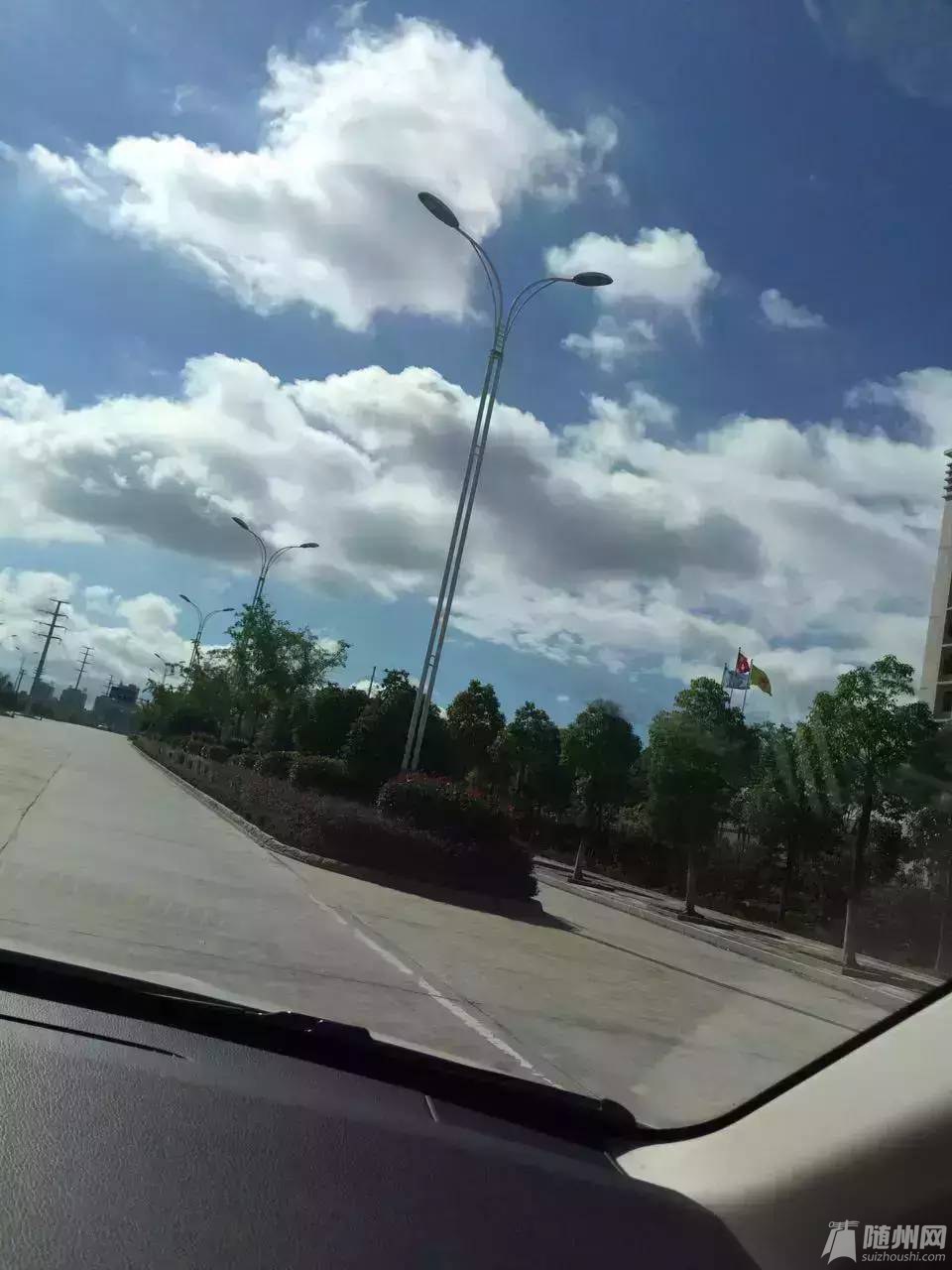 183708c5sq8zsq8mmmg6mj.jpg
