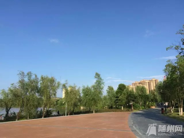 640.webp (14).jpg