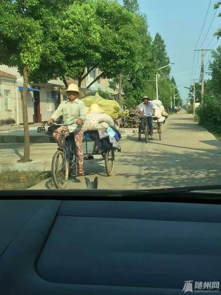 file.jpg