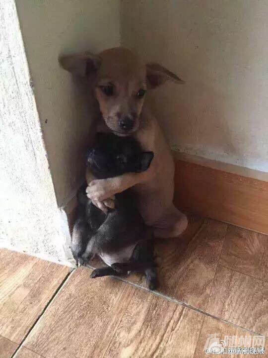 file.jpg