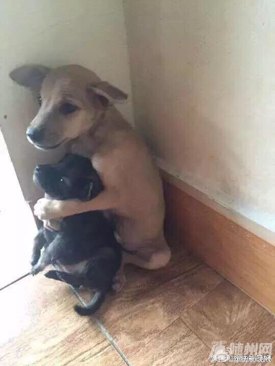 file.jpg