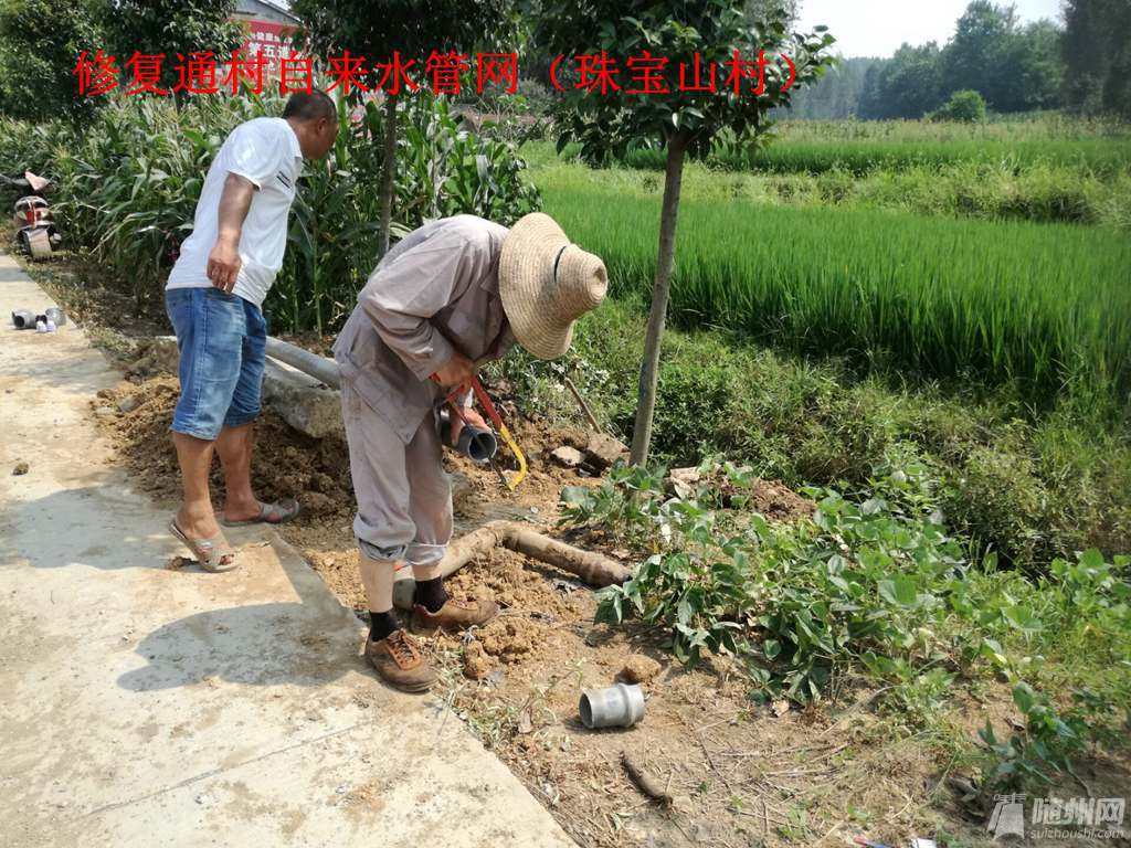 QQͼƬ20160802111254_.jpg