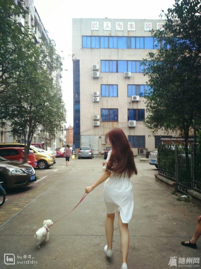 QQ图片20160813160853.jpg