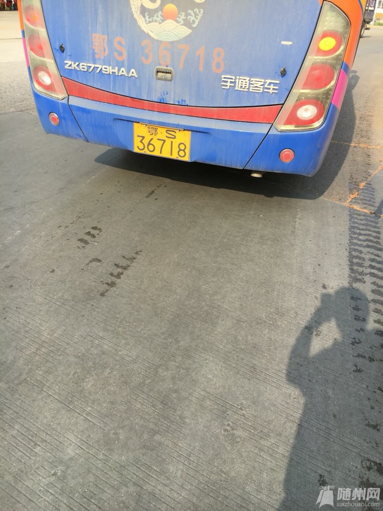 file.jpg