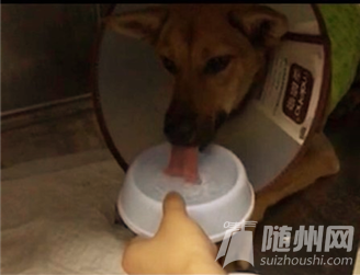 06d363ff0619c3f4ff96fc4abe9134fd.png