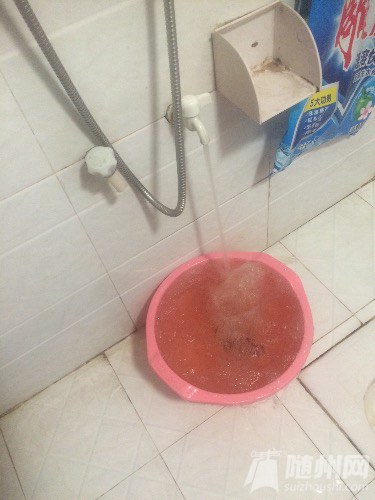 image.jpg