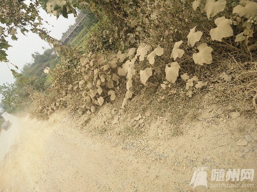 IMG20160903173008.jpg