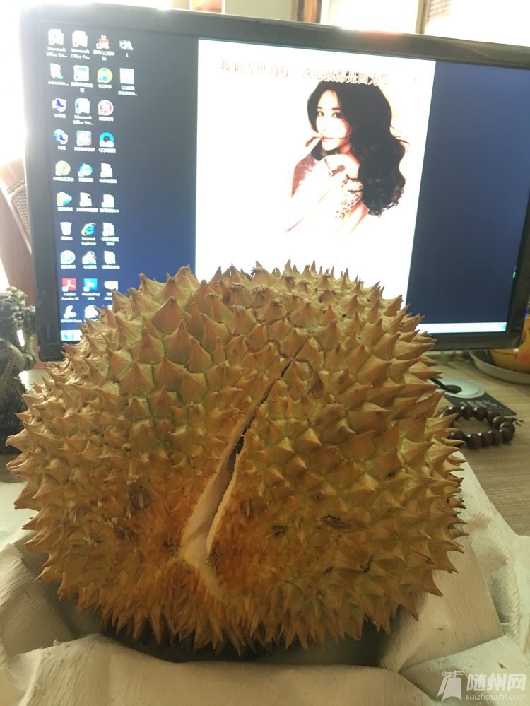 file.jpg