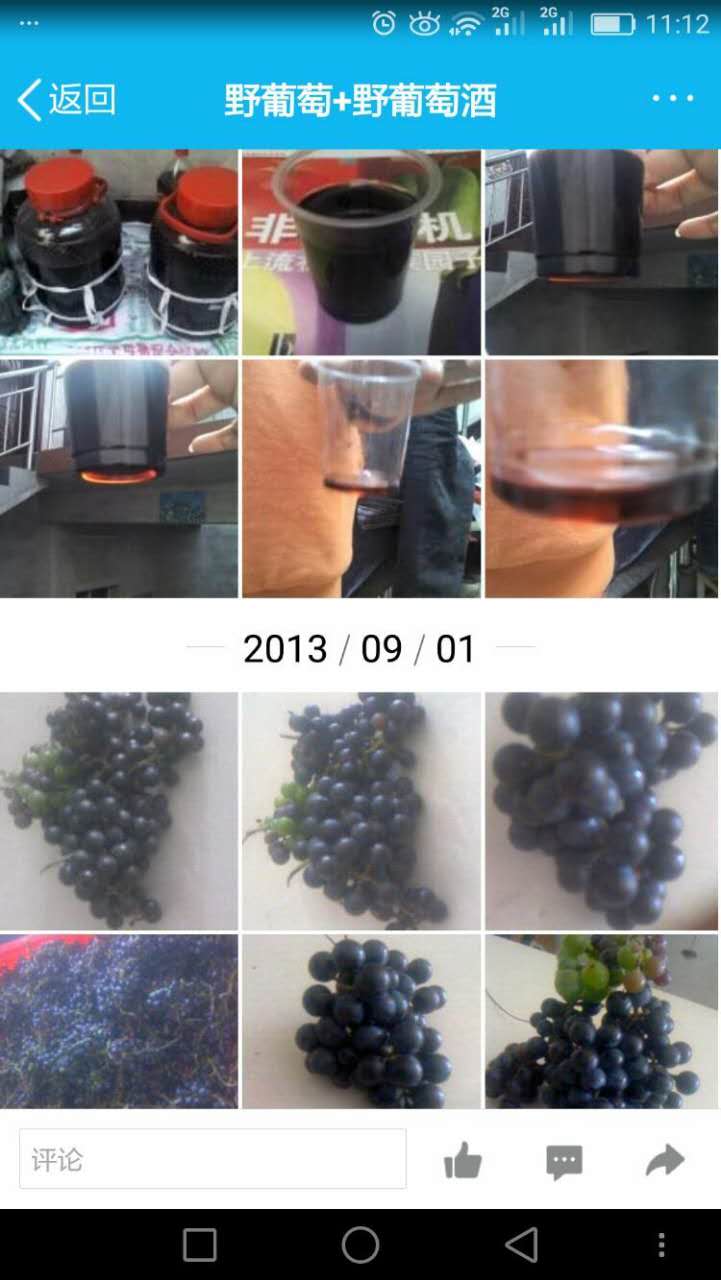 15.jpg