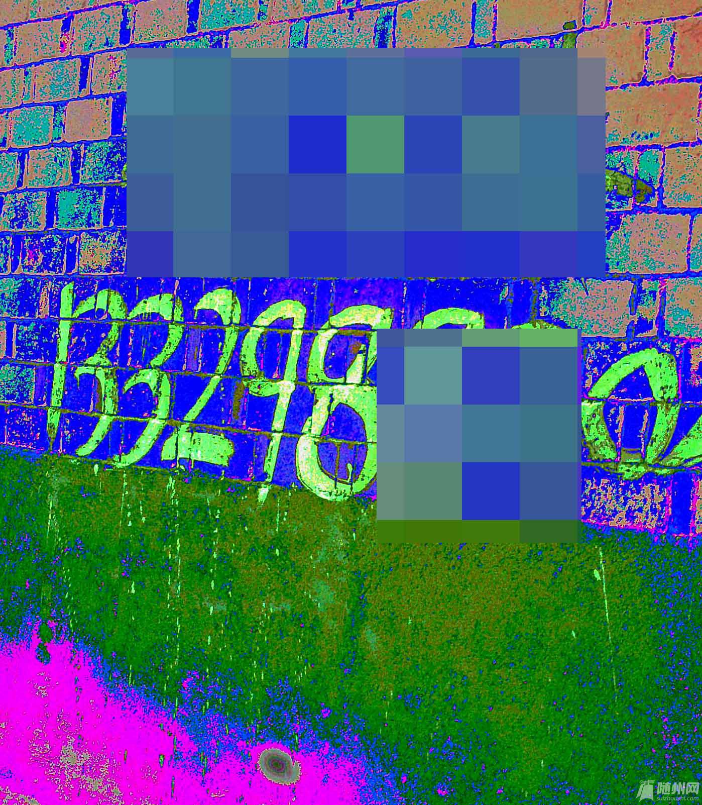 0001.JPG