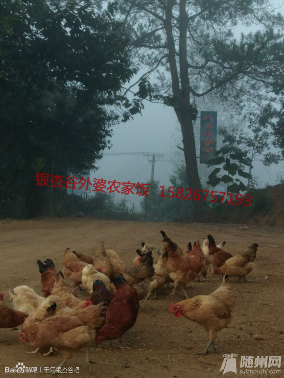 eff1c7a7d933c895fb24f980d91373f0800200cc.png