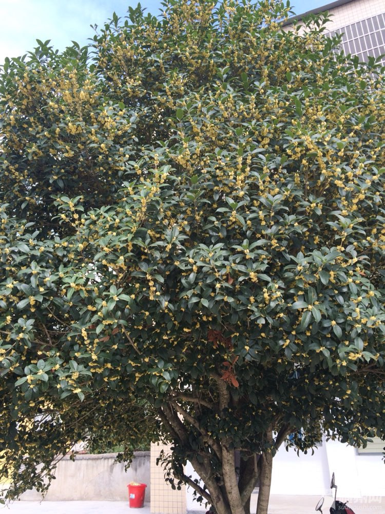 file.jpg