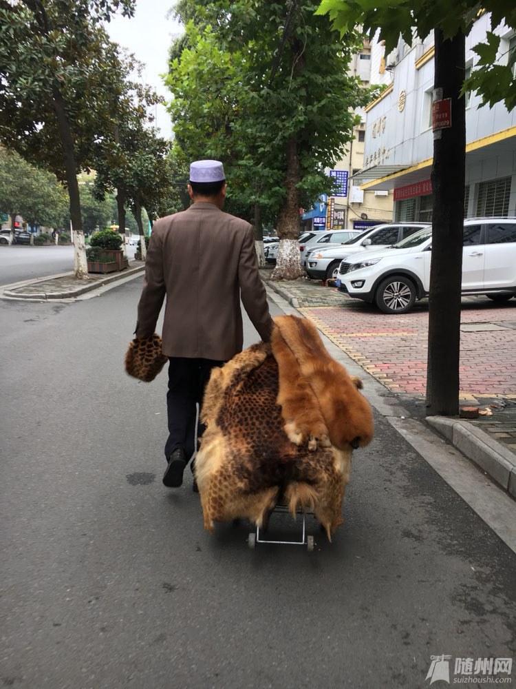 file.jpg