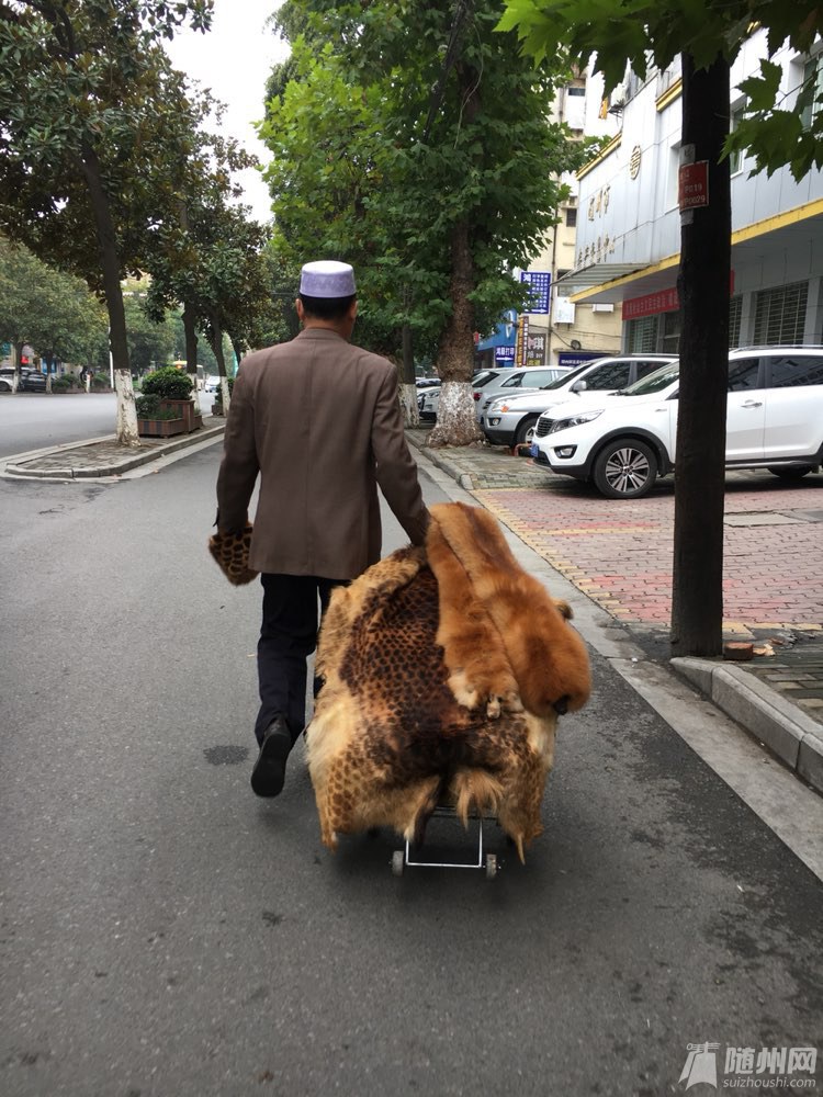 file.jpg