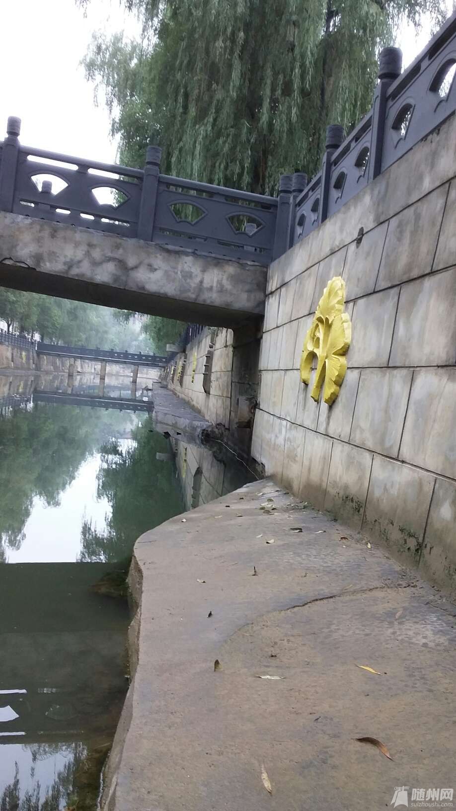 1476944086712.jpg