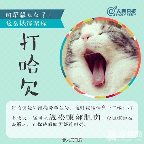 ѧſԼ