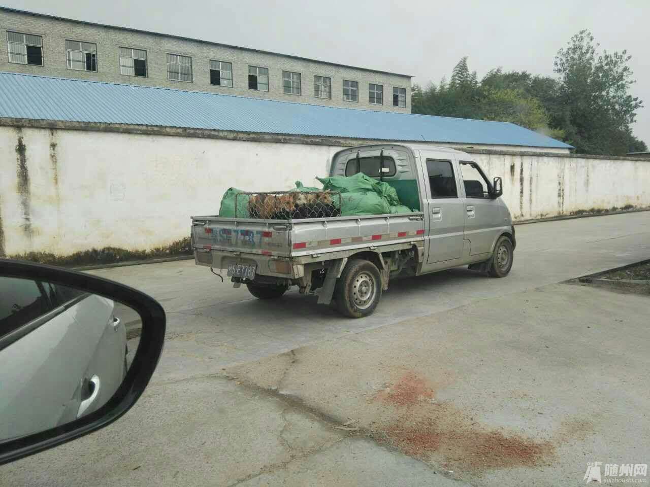1477987514182.jpg