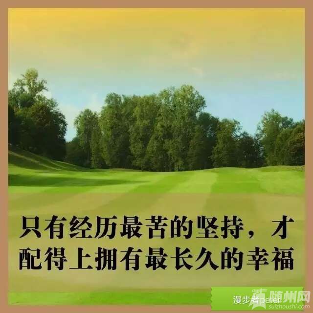 1478258681414.jpg