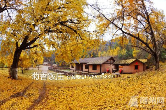 U6469P704DT20151120180433_meitu_5.jpg