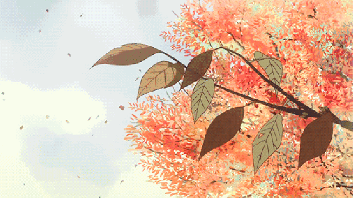 0 (2).gif