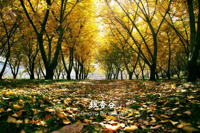 640.webp (19).jpg