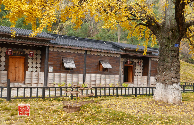 P1060945_.jpg