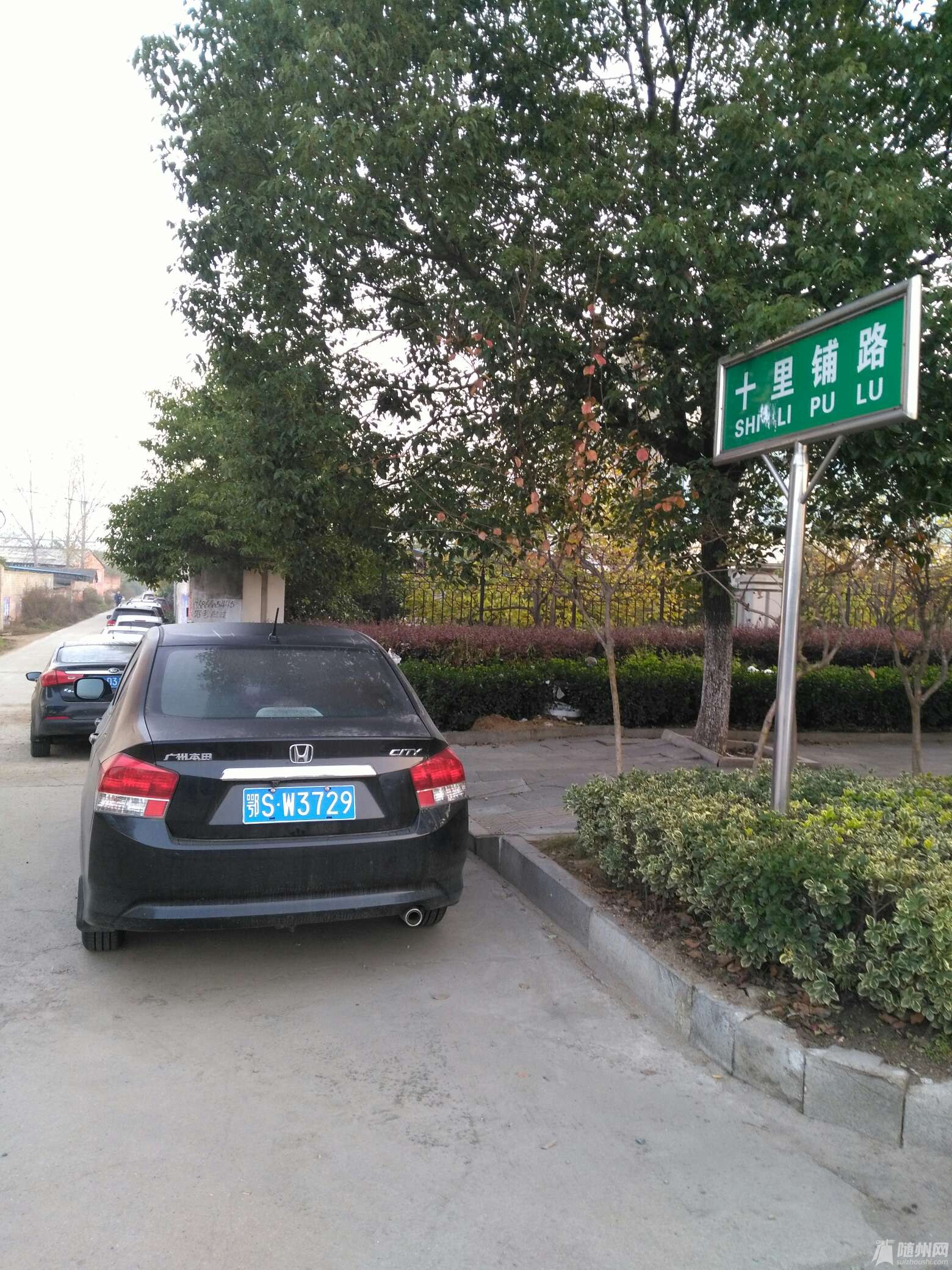 1478998646616.jpg