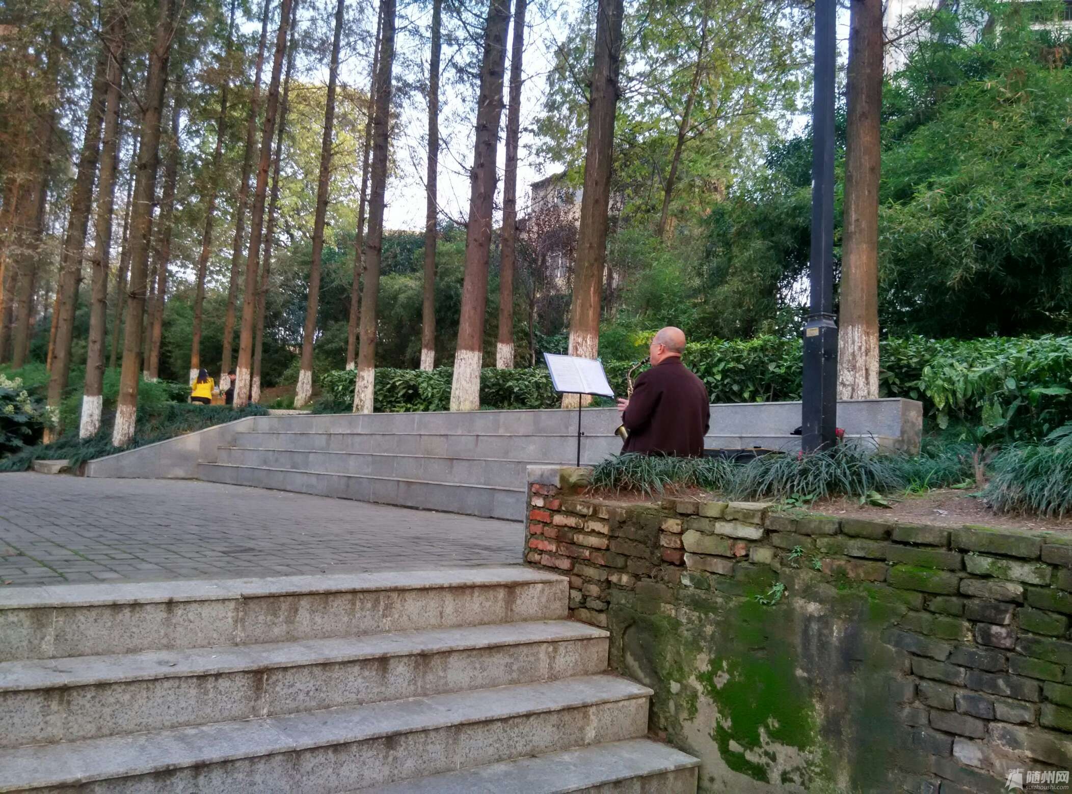 1479041894458.jpg