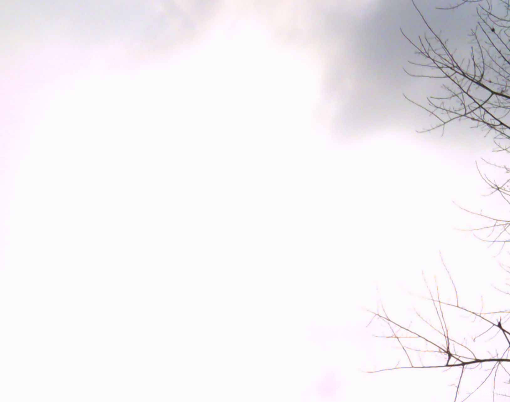 2222A.jpg