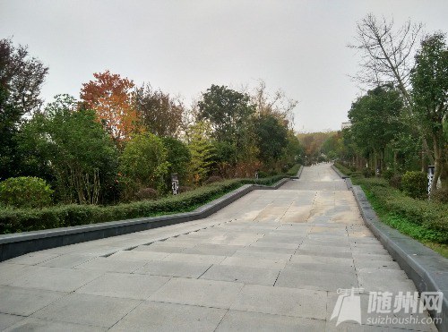 IMG_20161120_120539_HDR.jpg